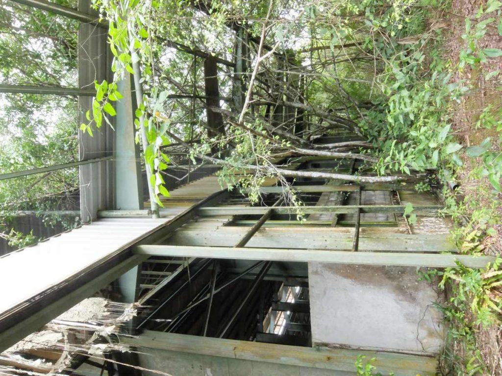 Alte Wartungshalle vom West Suriname Plan