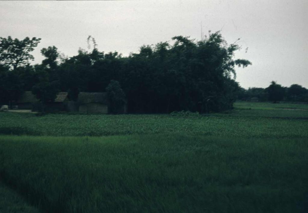 Blick aus dem Zugfenster auf üppige Landschaften in Bangladesch