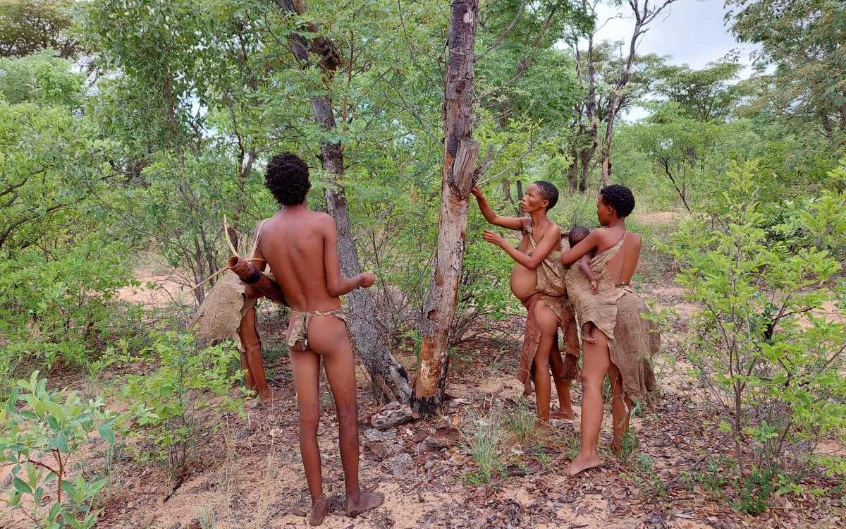 Unterwegs mit den San