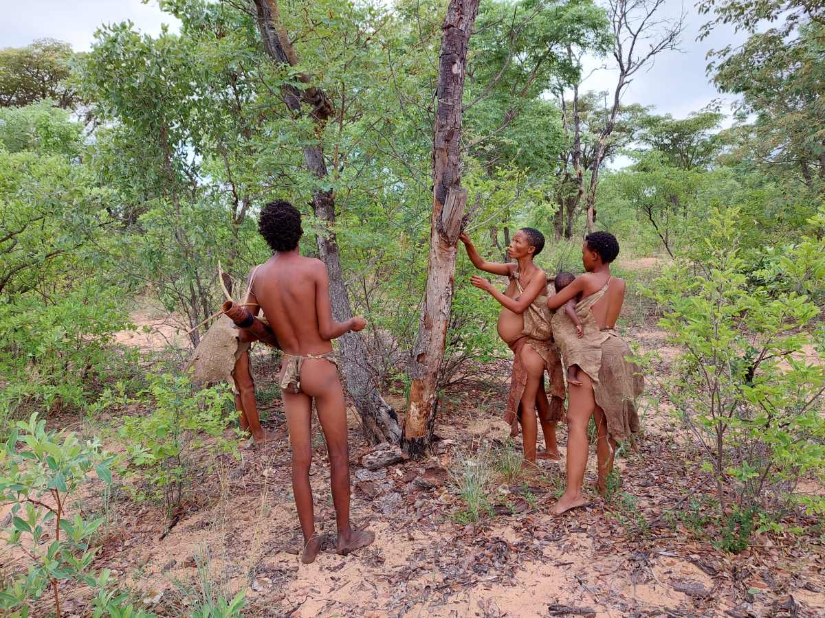 Unterwegs mit den San